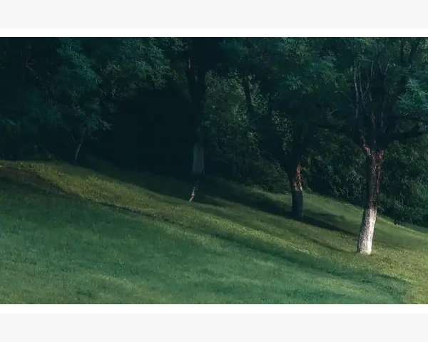 舒缓腰腿疼痛，三伏时节的穴位疗法为你支招
