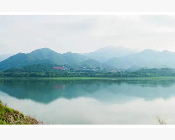 化痰雾化设备的应用与中医科普