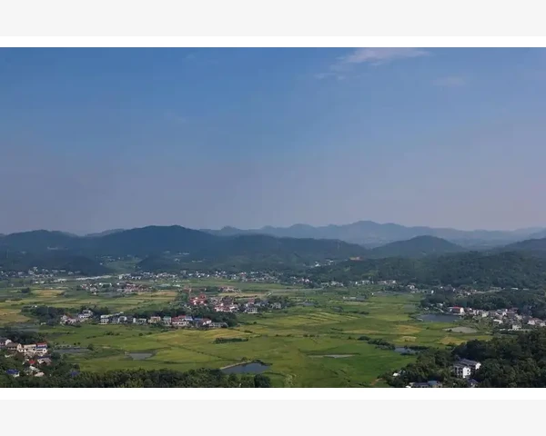 化痰雾化，多久一次更有效？